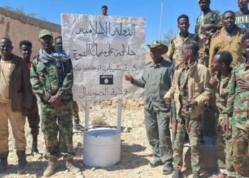 সোমালিয়ার পন্টল্যান্ড অঞ্চলে দাঈশ ক্রমাগত তাদের ঘাঁটি থেকে পালিয়ে যাচ্ছে