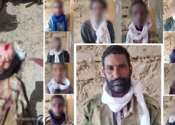 মালিতে একজন দাঈশি কমান্ডার নিহত, আরেকজন সেনাবাহিনীর কাছে আত্মসমর্পণ করেছে!