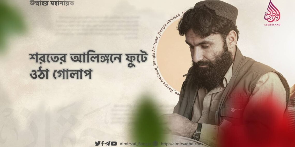 শরতের আলিঙ্গনে ফুটে ওঠা গোলাপ