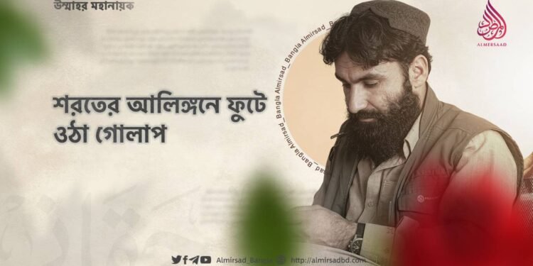 শরতের আলিঙ্গনে ফুটে ওঠা গোলাপ